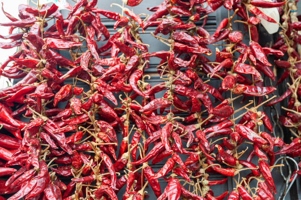istock Dried red chili paprika hang in bunch. 1299909583