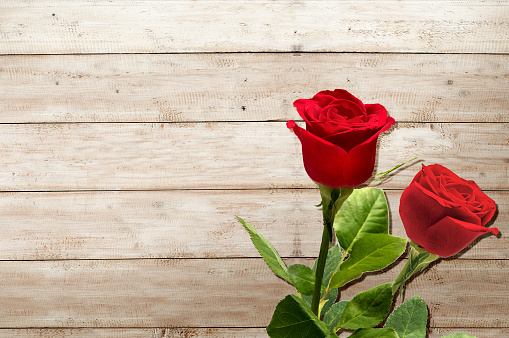 Red roses on wooden table background. Valentines day