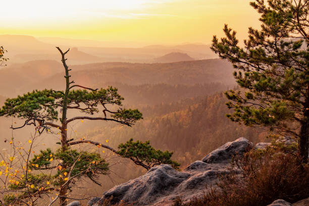 istock Daybreak On Rocky Peak. Broken Wild Pine Bonsai Tree. 1299910985