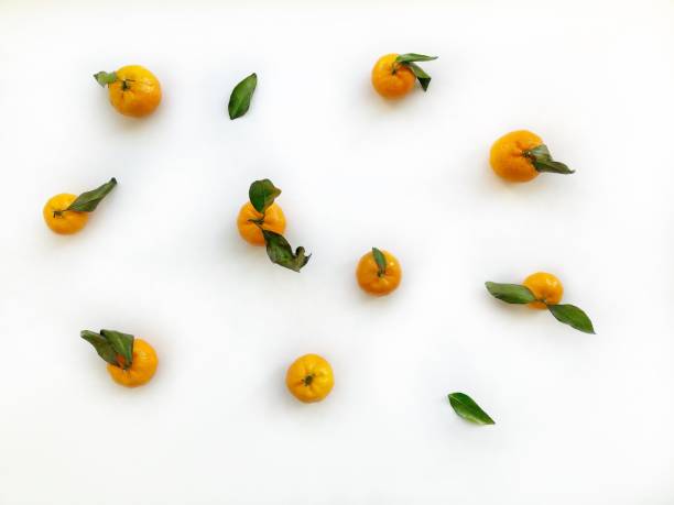 Tangerines on a white background