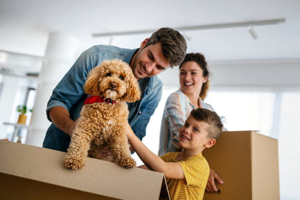 boîtes heureuses de déballage de famille dans la nouvelle maison le jour de déplacement - dog family indoors child photos et images de collection