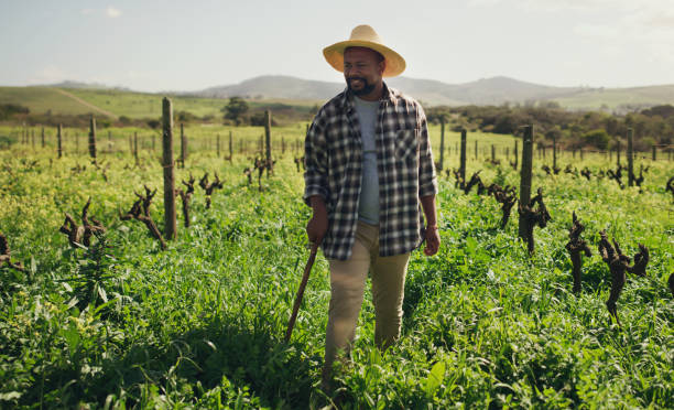 istock The fields are filled with so much potential 1299915576