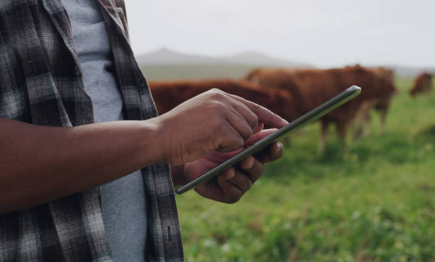 istock Agricultural management gets an upgrade 1299915592