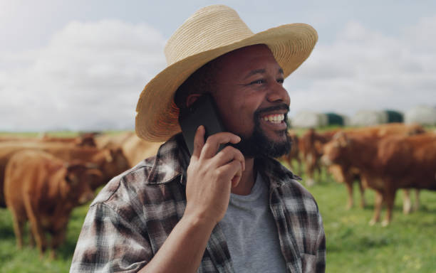 istock Mobile tech for a farmer on the moooove 1299915601