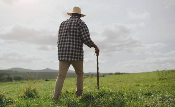 istock Life on a farm, where less is best 1299915610