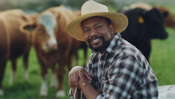 istock If my cattle are happy, I'm happy 1299915613