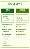 cbc-vs-cbnd-cannabichromene-vs-cannabinodiol-vertikale-infografik-illustration.jpg?b=1&s=170x170&k=20&c=Yp-1DJkhHTTYIywX99BTvgTdEsPGIP0Jz44C0OlA7ec=