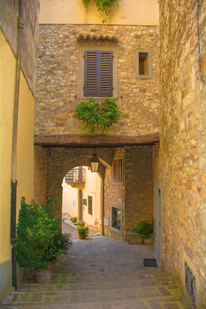 istock Archway in Montefioralle, Tuscany 1299923938