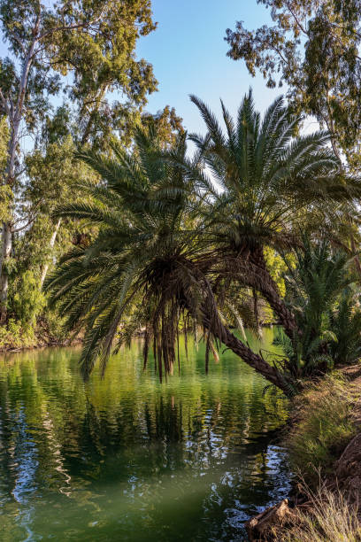 istock Wonderful walk along the river 1299924243
