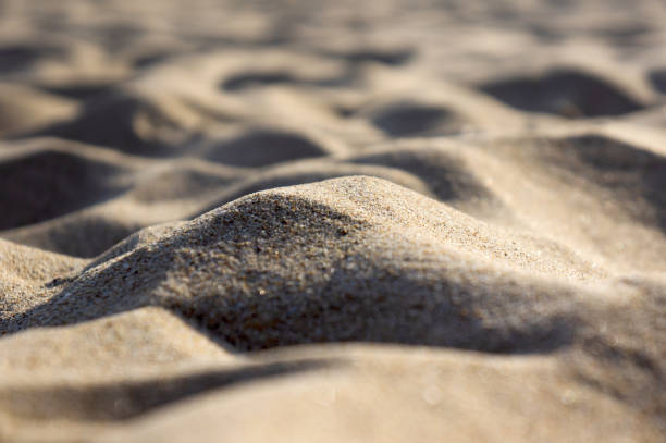 Beach sand stock photo. Image of textured, dune, silica - 13552562