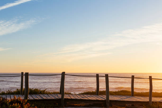 istock Boardwalk next to the Ocean 1299928146