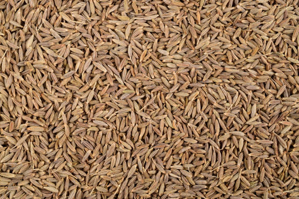 Cumin seeds texture background, caraway- spice, jeera texture stock photo