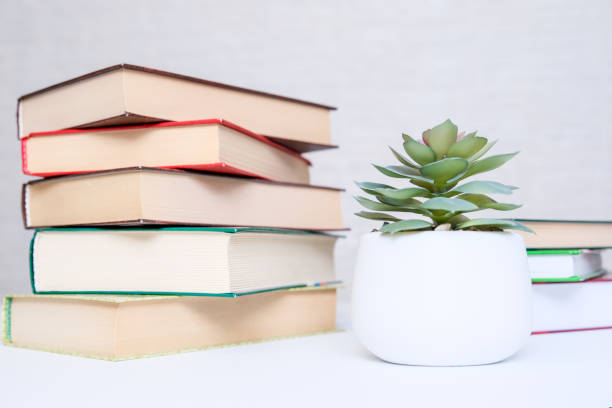 istock Stacked modern hardback books on a white table with green potted plant as a concept of reading and education 1299932557