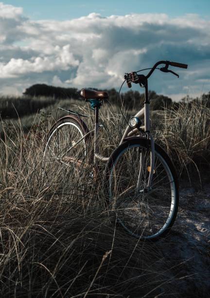 istock Bike Trip 1299933381