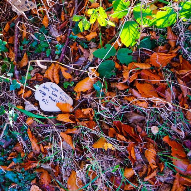 istock Inspiring message charm left in the woods 1299933968