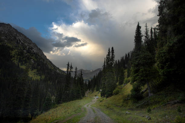 istock mountain road through the forest 1299937486