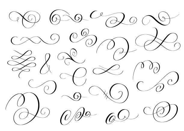 illustrazioni stock, clip art, cartoni animati e icone di tendenza di vortici vettoriali impostati. la calligrafia della penna fiorisce il design - calligraphy growth scroll shape scroll