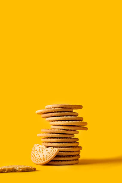 Marie biscuits stuck on bright yellow background. Modern cookies concept.