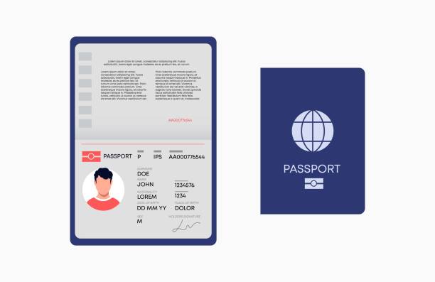 International passport vector. Character identification with citizenship and residence permit immigration. International passport vector. Character identification with citizenship and residence permit immigration and tourism document global travel and official control. blue us passport cover stock illustrations
