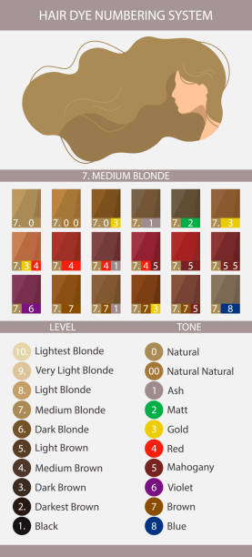 Stock Vector Palette With Hair Dye Numbering System Levels Tones And  Undertones Palette For Level 7 Hair Color Depth Stock Illustration -  Download Image Now - iStock