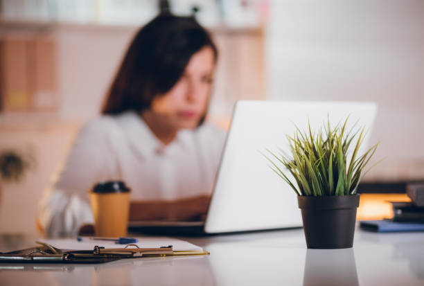 istock Potted plant on office desk 1299940585