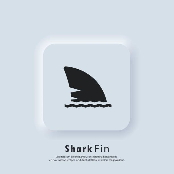 Shark fin icon. Take care concept. Shark fin logo. Vector. UI icon. Neumorphic UI UX white user interface web button. Neumorphism. Shark fin icon. Take care concept. Shark fin logo. Vector. UI icon. Neumorphic UI UX white user interface web button. Neumorphism. wave water silhouettes stock illustrations
