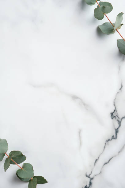 cadre fait de feuilles d’eucalyptus sur fond de marbre. maquette de carte d’invitation de mariage, modèle minimal. - wedding flower decor invitation photos et images de collection