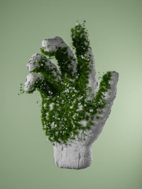 istock cracked white hand with vegetation and flowers growing 1299944894