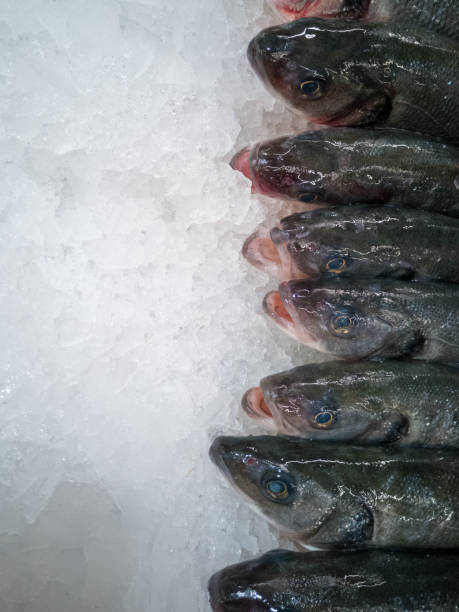 istock Fresh chilled Siberian fish close-up on ice 1299946408