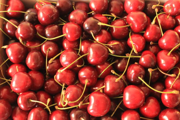 istock organic and fresh cherries photo 1299948463