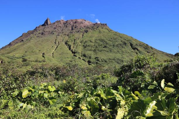 istock Guadeloupe - La Soufriere 1299951701