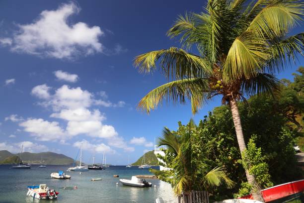 istock Les Saintes, Guadeloupe 1299951757