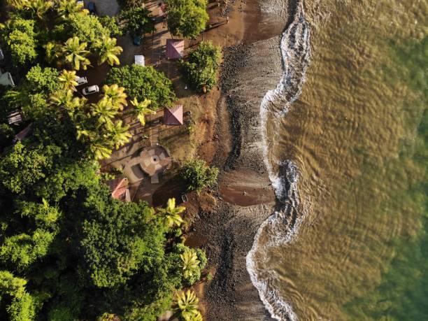 istock Beach drone view in the Caribbean 1299951791