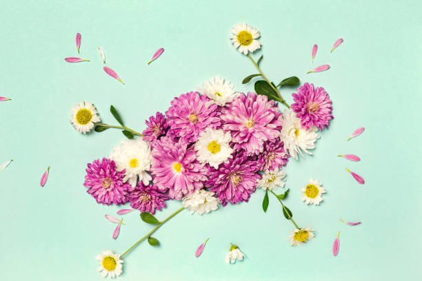 istock Creative layout made with white and violet flowers on pastel green background 1299952515