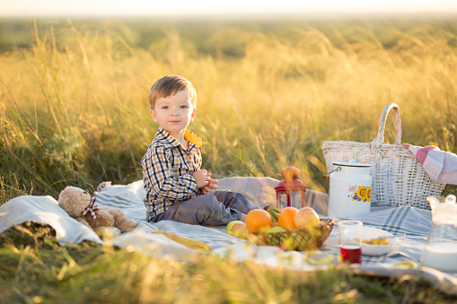 Great time is childhood. Boy kid with Teddy bear and fruit on a picnic in sunny day.