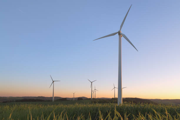 istock wind turbines on field at sunset 1299957425