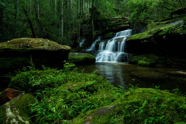 istock Beautiful deep forest waterfall at Thailand. 1299960358