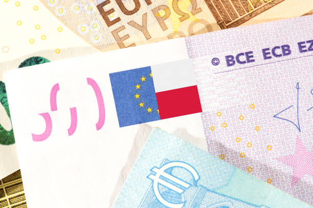 istock Flag of Poland and Euro banknotes 1299961863