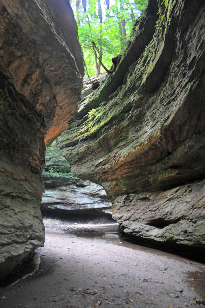 Limestone Canyon-Turkey Run,  Indiana