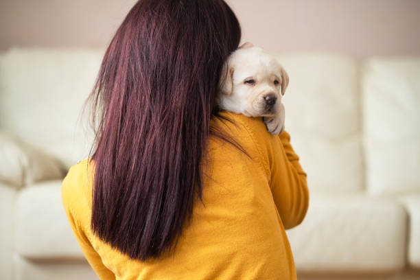 istock Young woman with puppy at home 1299962191