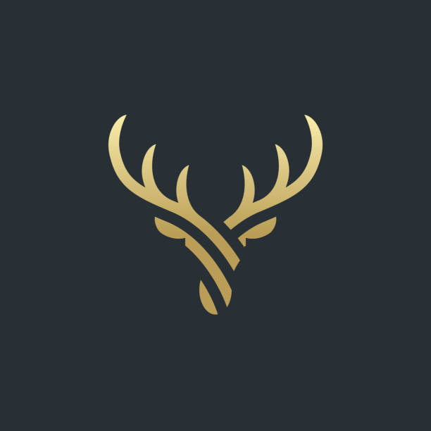 ilustrações de stock, clip art, desenhos animados e ícones de abstract deer head design. stylized geometric deer logotype concept.  vector illustration. - 1599