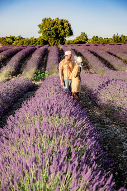 istock Lavender fields in Ardeche in southeast France 1299968532