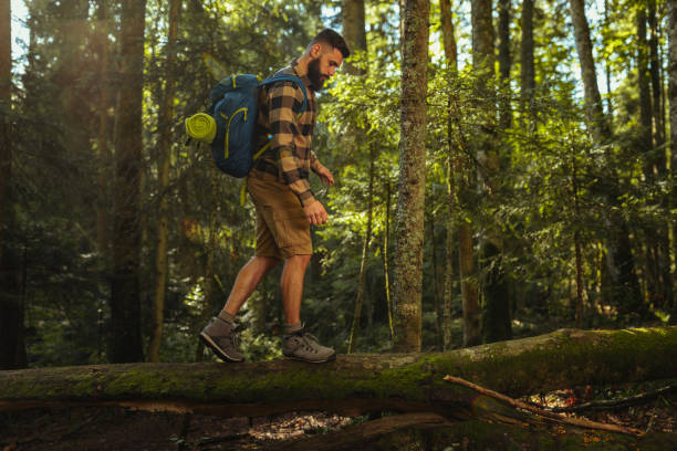 istock Young man hiking along a nature trail 1299968876