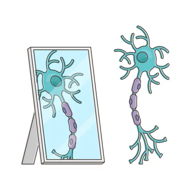Vector illustration of Mirror neuron funny performance with itself reflection view outline concept