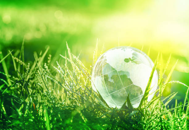 istock Global glass earth in sun light on green grass 1299972989