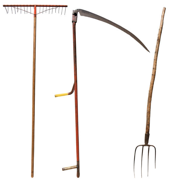 Vintage Gardening Equipment Isolated on White - Scythe Pitchfork Rake Scythe, Pitchfork and a Rake. Vintage gardening equipment isolated on white background. Italy, photography. antique pitchfork stock pictures, royalty-free photos & images