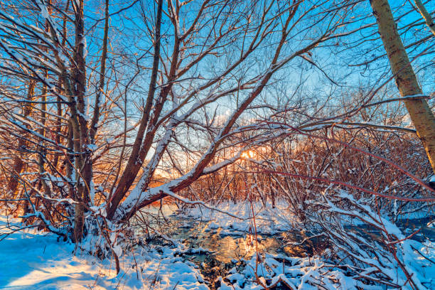 istock Winter landscape on the river in Reda 1299976193