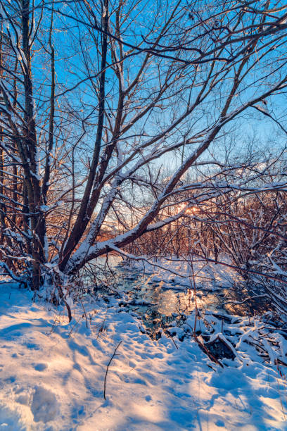 istock Winter landscape on the river in Reda 1299976881