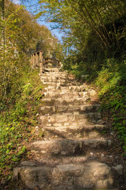 istock Path in Tolmin Gorge, Slovenia 1299977665