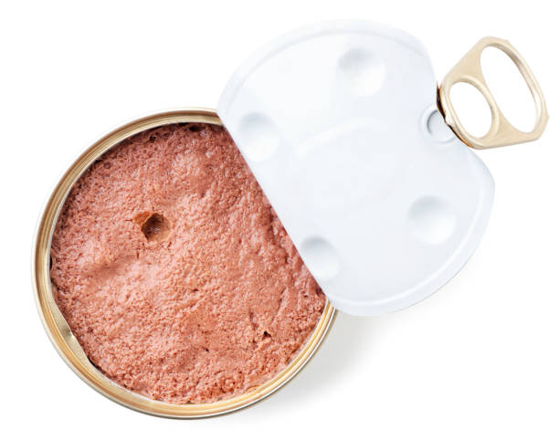 istock Pet pate in an open tin can on a white background, isolated. Top view 1299978267